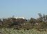 camargue